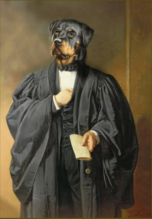 Rottweiler en avocat, œuvre originale de Daniel Trammer