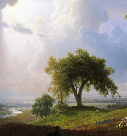 Daniel trammer made in Belgium