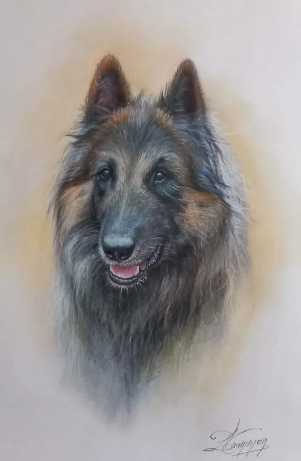 Portrait au pastel de berger de Daniel Trammer