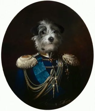 Fox en officier, œuvre originale de Daniel Trammer