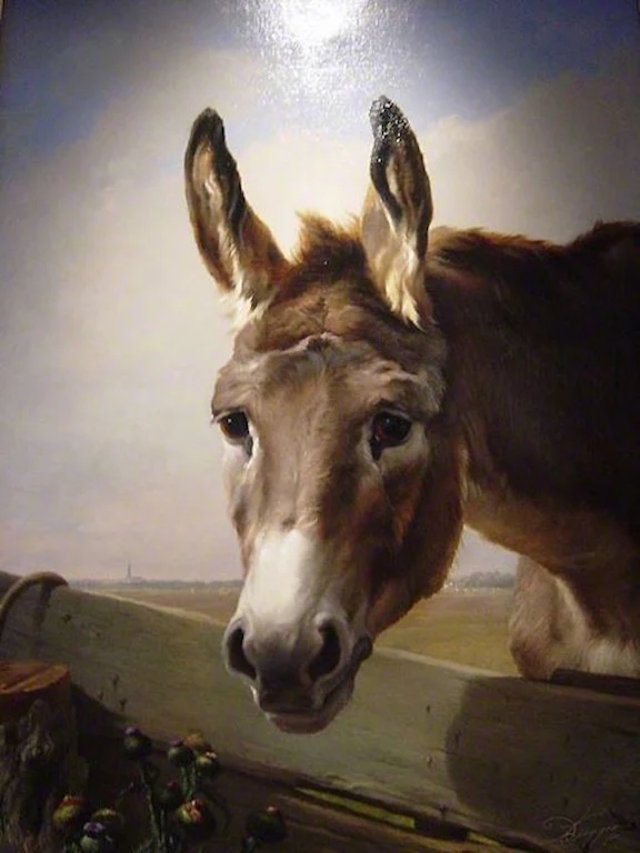 mon âne 50x60 cm daniel Trammer